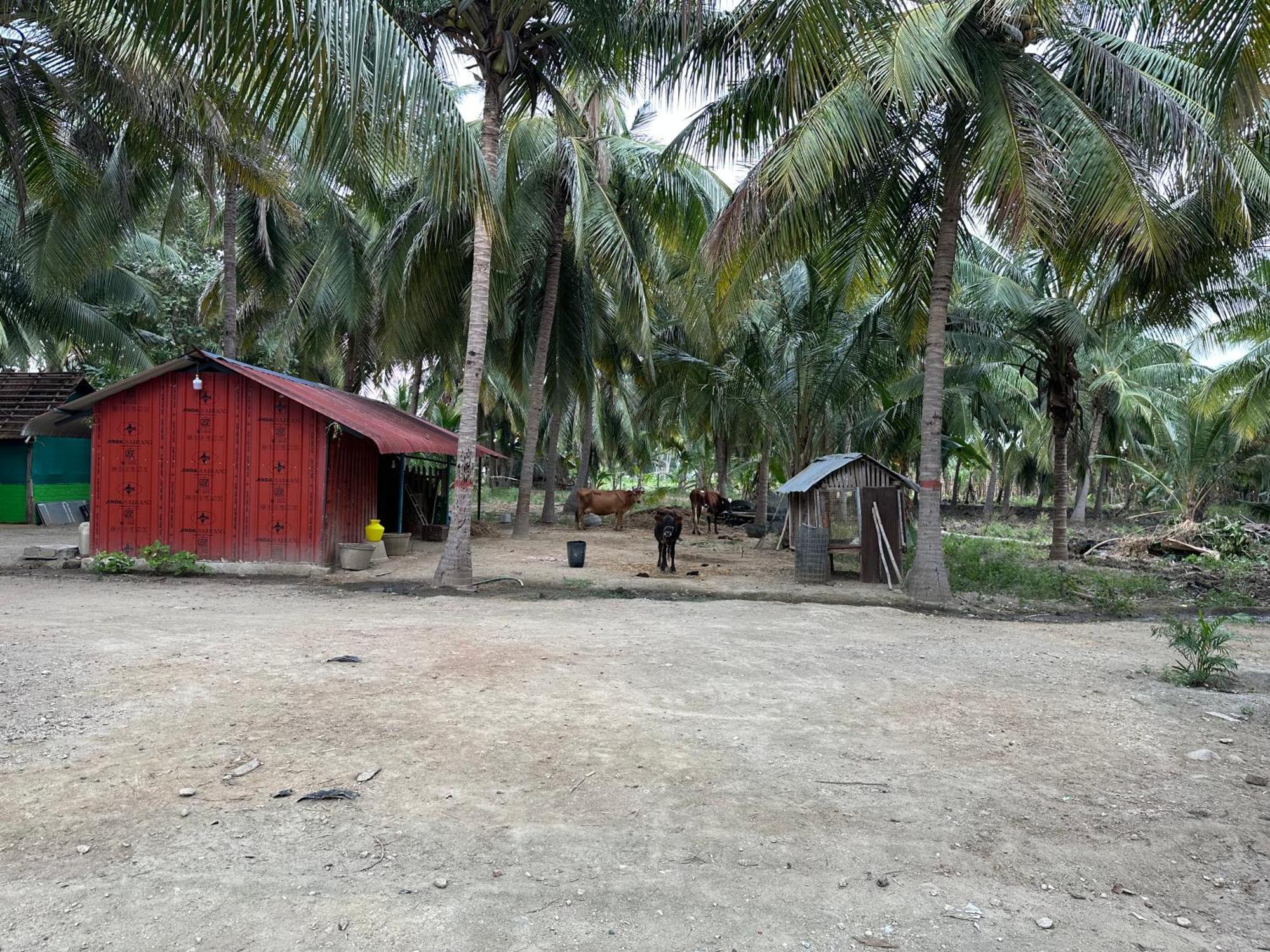 Sakthi Garden Home Stay Erode Exterior photo